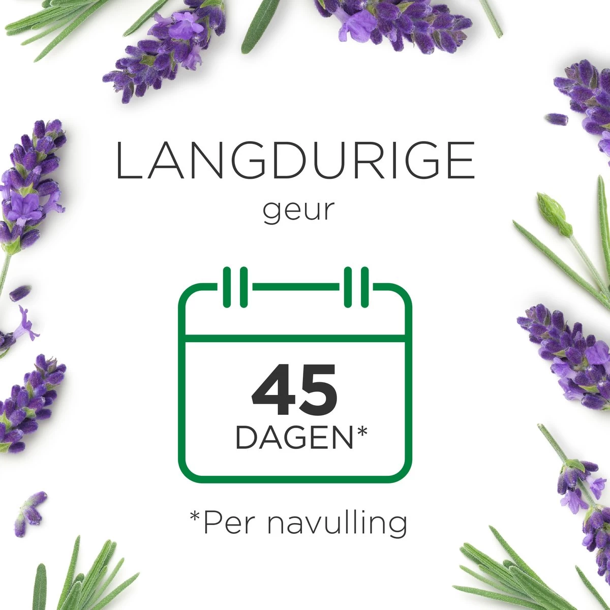 Air Wick Essential Mist Luchtverfrisser - Ontspannende Lavendel - 1 Zwart Apparaat + 2 Navullingen - Afbeelding 8