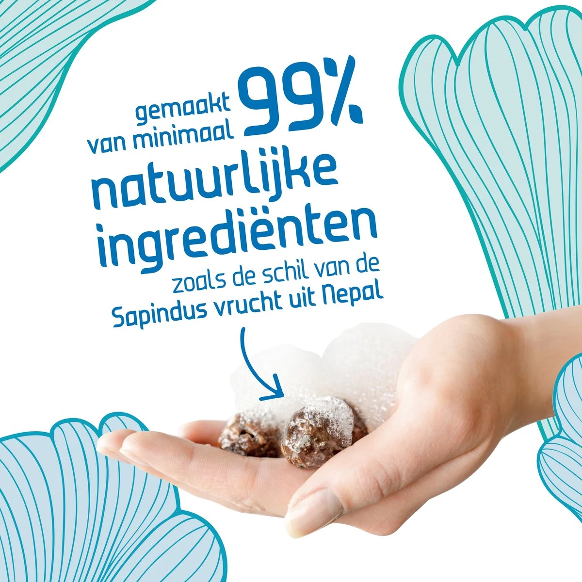 Seepje Zeepvariatie - Hand- En Lichaamszeep - Waszeep - Afwaszeep - Natuurlijke Ingredienten - 0% Plastic - Afbeelding 4