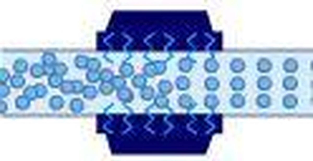 Alpine® Hét Waterontharder Alternatief All-in-one XL Antikalk Magneet Voor Koper En Kunststof Leidingen 20.000 Gauss - Energiebesparing - Energie Besparen - Gas Besparen - Afbeelding 4